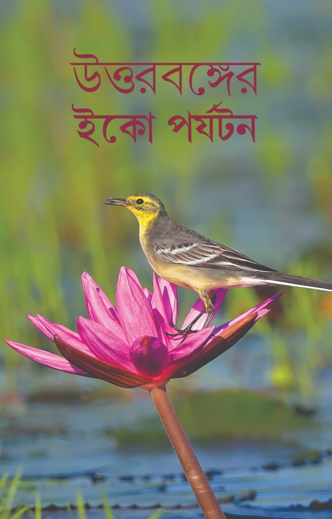 Golpoguchho College Street